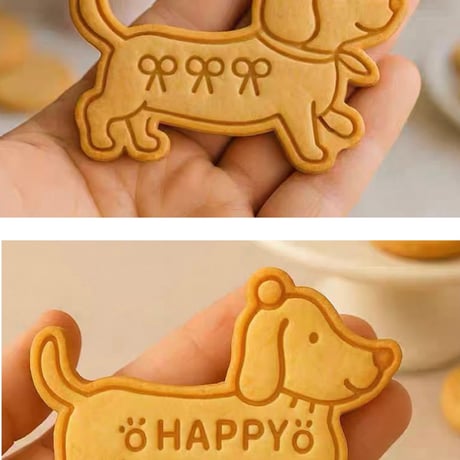 ミニチュアダックスフンド | STORES