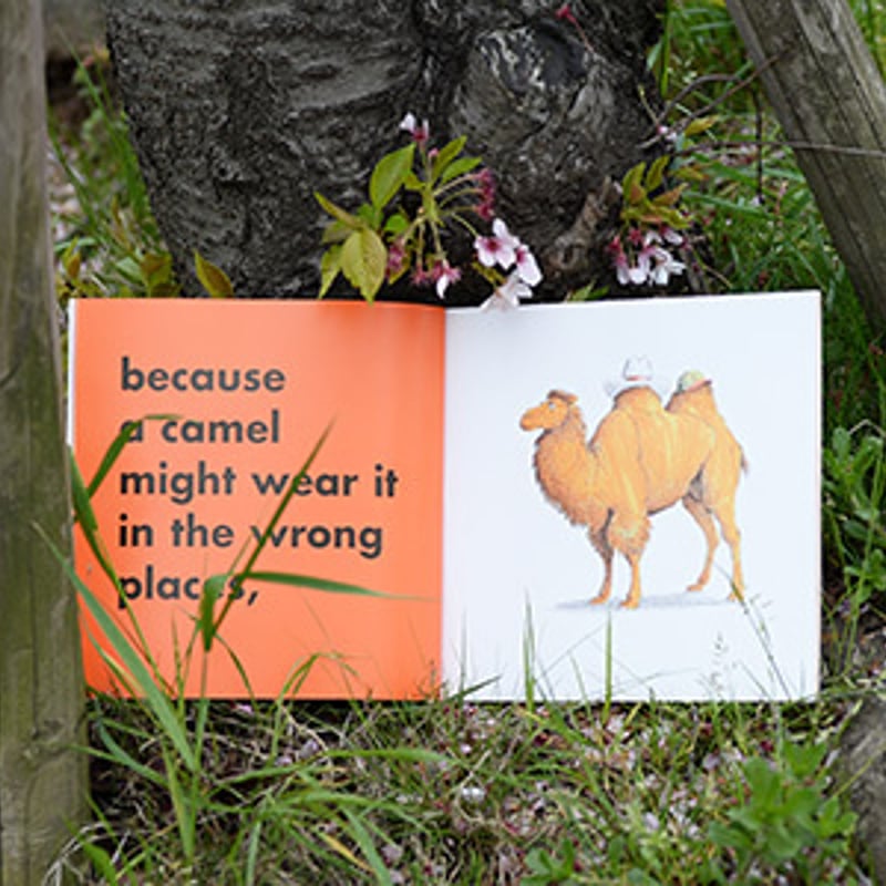絵本・児童書 292 Animals Should Definitely Not Wear Animals Should Definitely Not Wear Clothing: Barrett, Judi