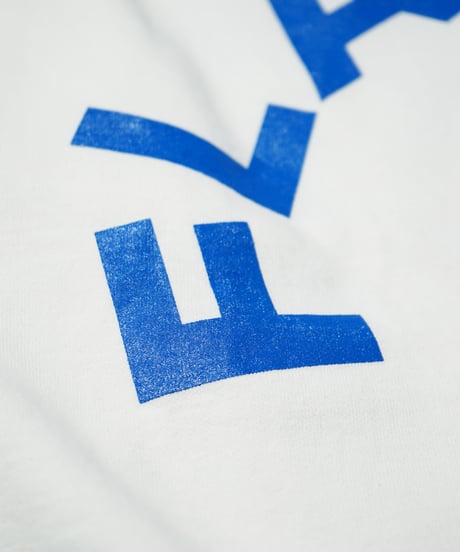 The Flavor Design®︎ / Flavors L/S T-shirt