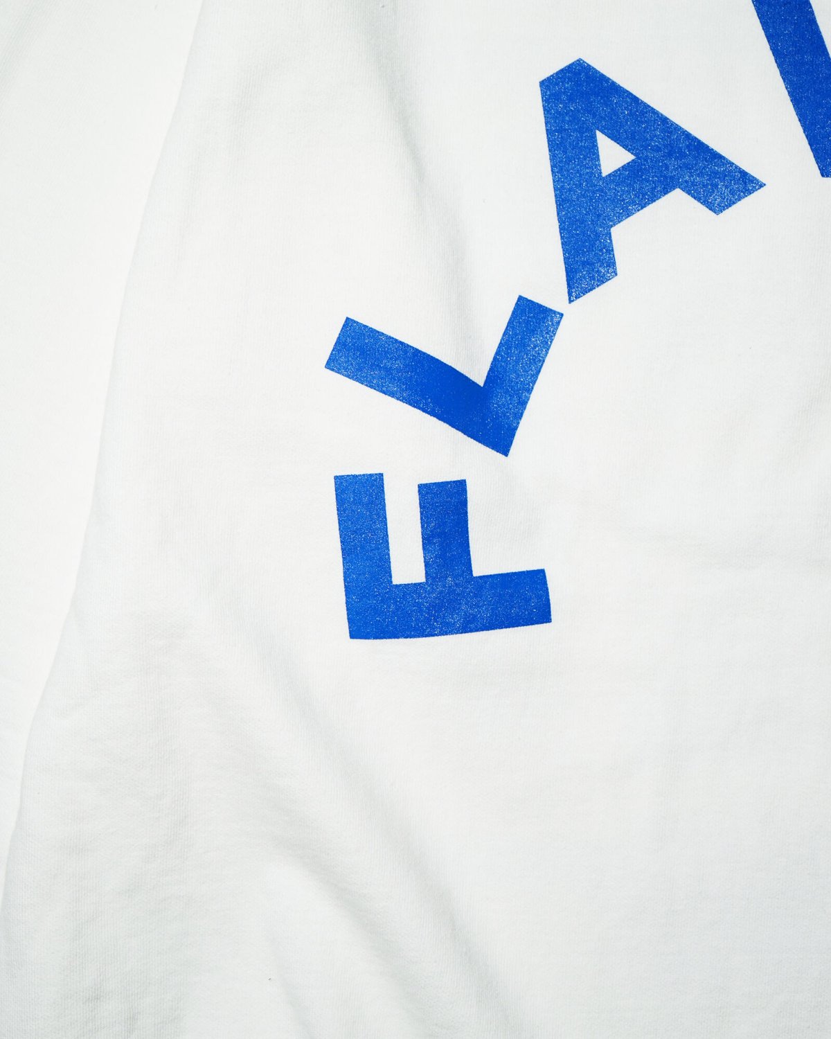 THE FLAVOR DESIGN FLAVORS アーチロゴプリント ロンT FLAVORS L/S T-SHIRTS | THE FLAVOR DESIGN®︎ OFFI