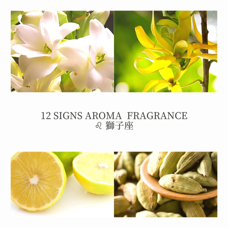 ♌︎/獅子座/12signs fragrance | KIANA-flowers's STORE
