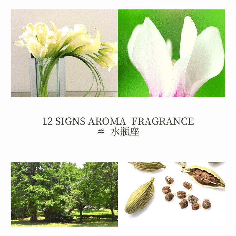 ♒︎/水瓶座/12signs fragrance | KIANA-flowers's STORE