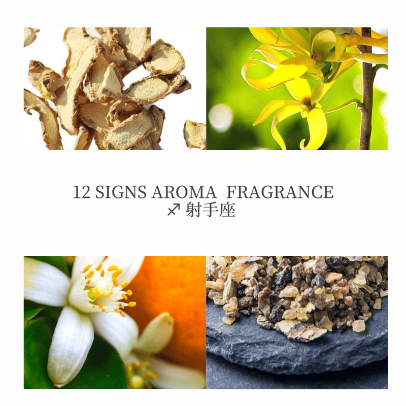 ♐︎/射手座/12signs fragrance | KIANA-flowers's STORE