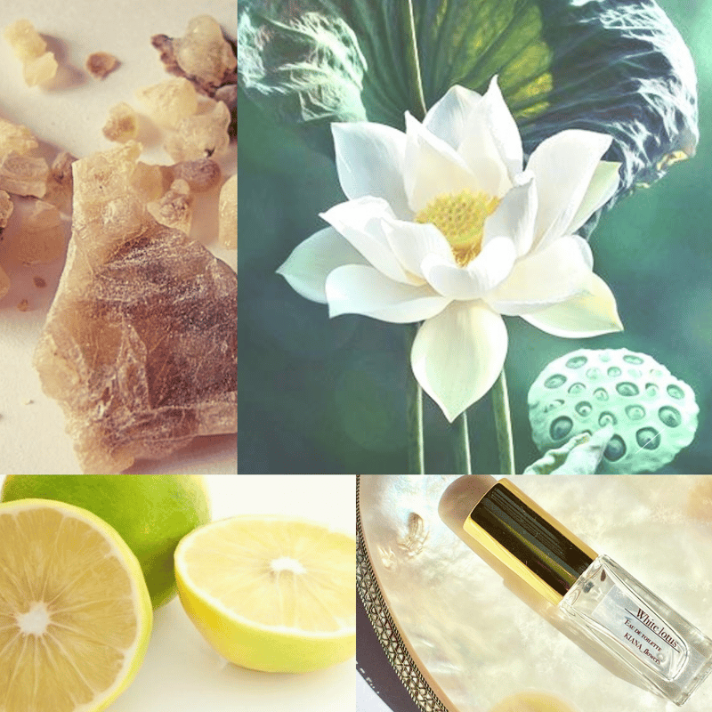 White Lotus / flora eau de toilette | KIANA-flo