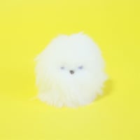 やんちゃなちびっこ　手乗りぬいぐるみ