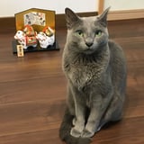 スペシャルティコーヒー　AYA珈琲焙煎所