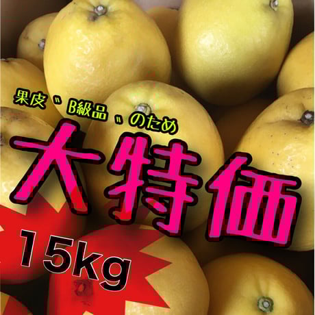 ミッチー の おみかん畑
