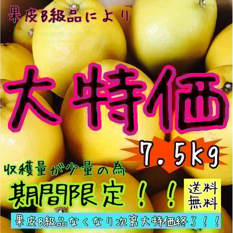 ミッチー の おみかん畑&#39;s shop様確認用 ミッチー の おみかん畑's shop様確認用 ミッチー の おみかん畑