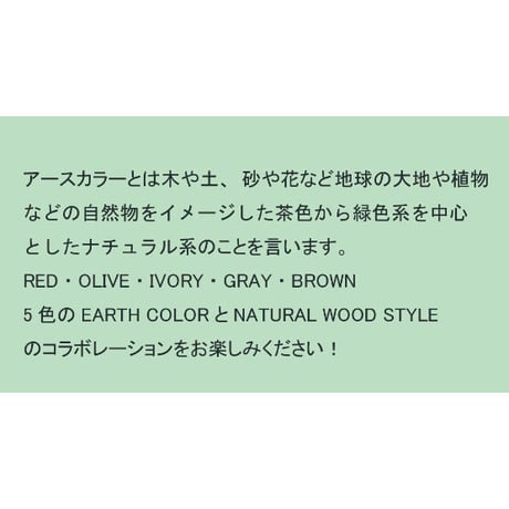 74287　EARTH COLOR　抗菌ランチプレート　IVORY