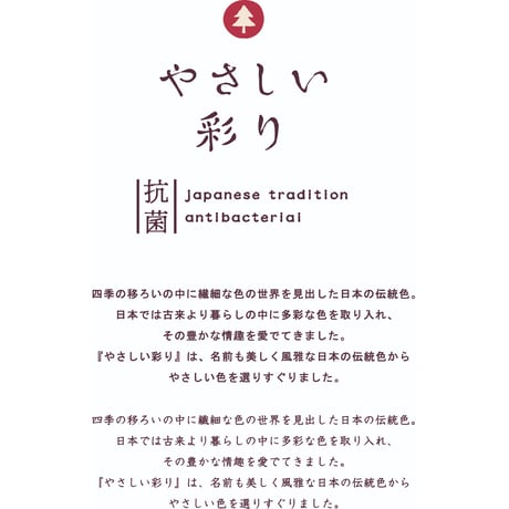 74248　やさしい彩り　抗菌小判弁当　みず色