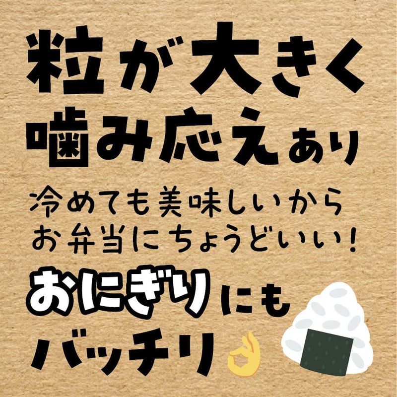 令和5年産☆佐賀県産 さがびより【5kg】 | こめとも