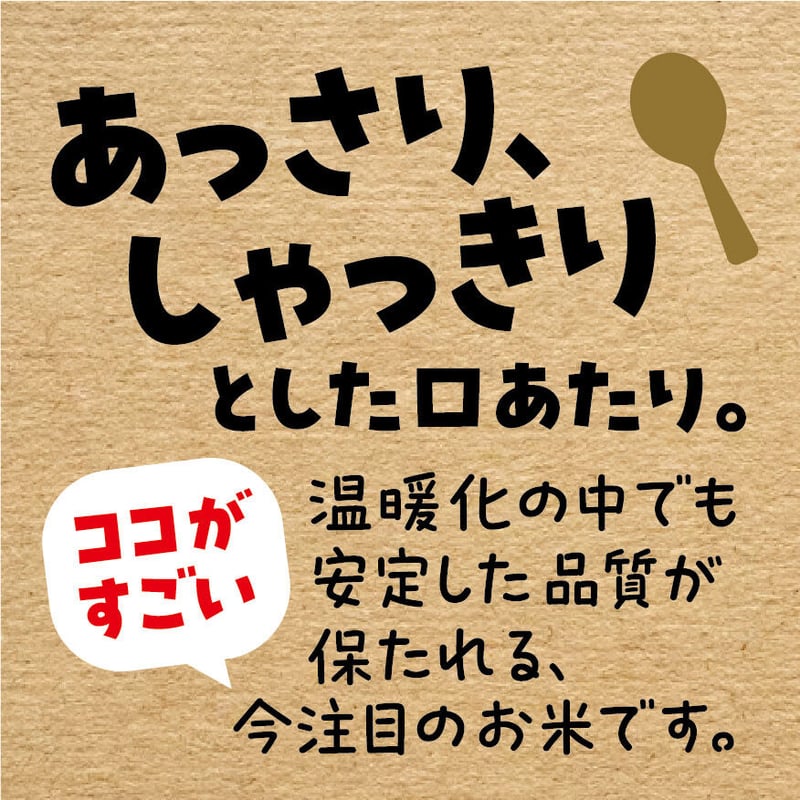 令和6年産☆特別栽培米☆滋賀県産近江米 みずかがみ/JAこうか 令和6年産☆特別栽培米☆滋賀県産近江米 みずかがみ/JAこうか