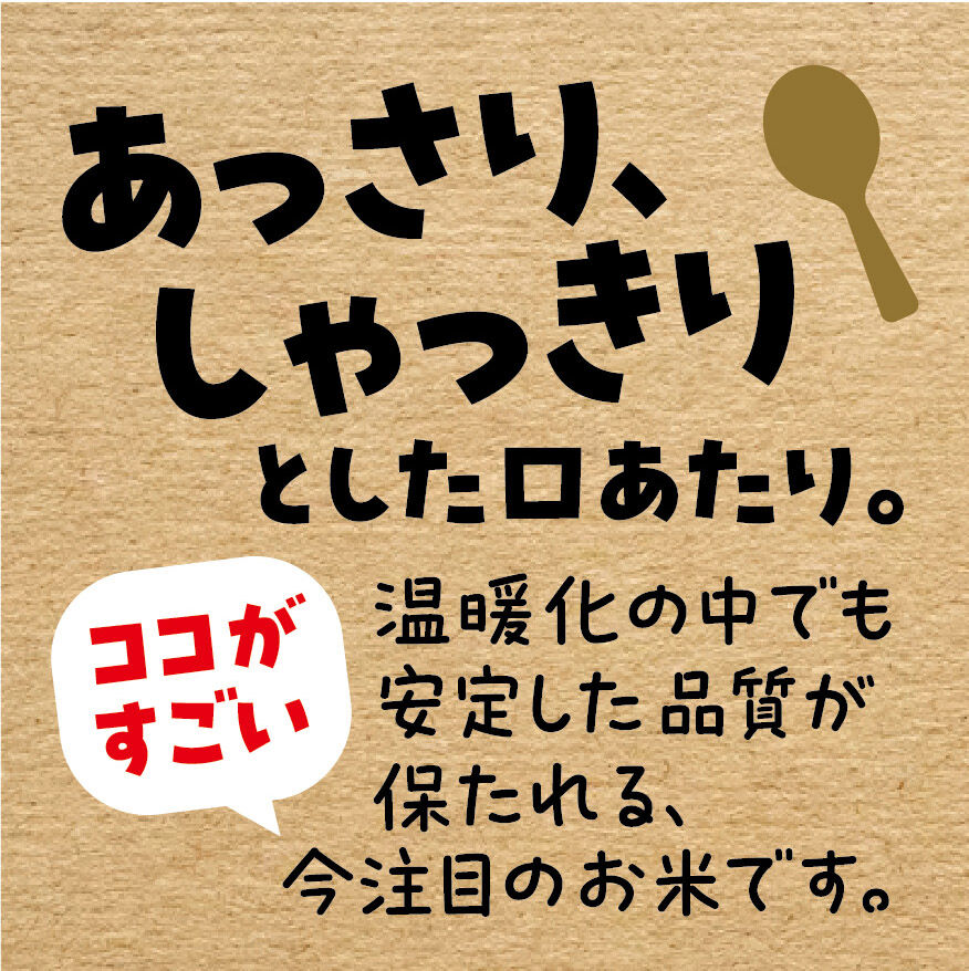 令和7年産☆特別栽培米☆滋賀県産近江米 みずかがみ／JAこうか【5kg