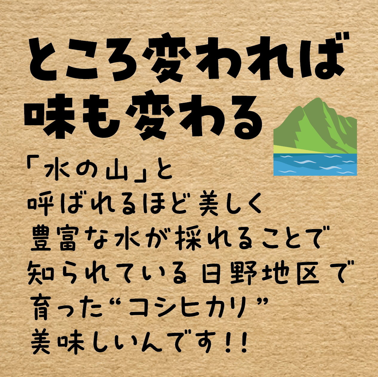 令和7年産☆特別栽培米☆鳥取県産コシヒカリ／JA鳥取西部 日野地区限定