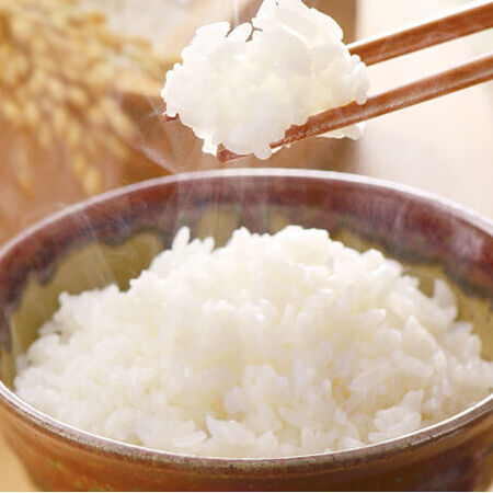 令和6年産☆特別栽培米☆滋賀市原地区限定こしひかり/JA 令和6年産☆特別栽培米☆滋賀市原地区限定こしひかり/JA