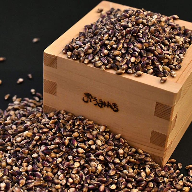 滋賀県産 近江のもち麦 450g×3袋 | こめとも