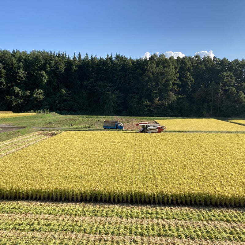 令和6年産☆今井清貴さん/特別栽培米 長野県茅野市産ミルキー 令和6年産☆今井清貴さん/特別栽培米 長野県茅野市産ミルキー