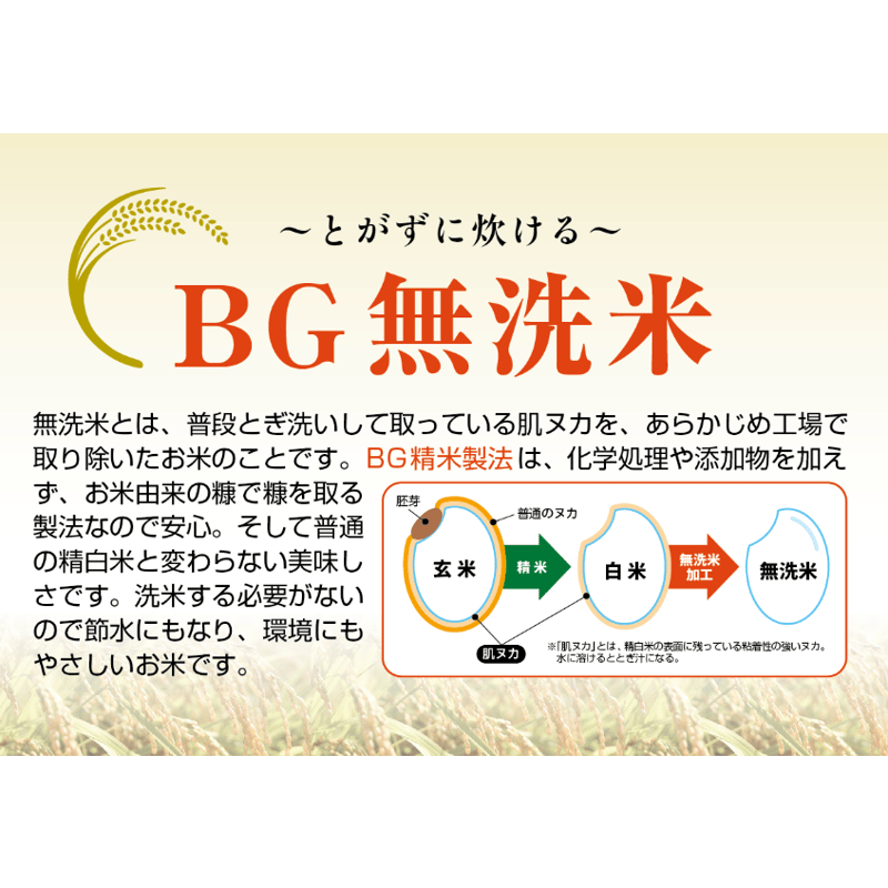 無洗米☆令和7年産☆山形県産 雪若丸（ゆきわかまる）／JA庄内みどり