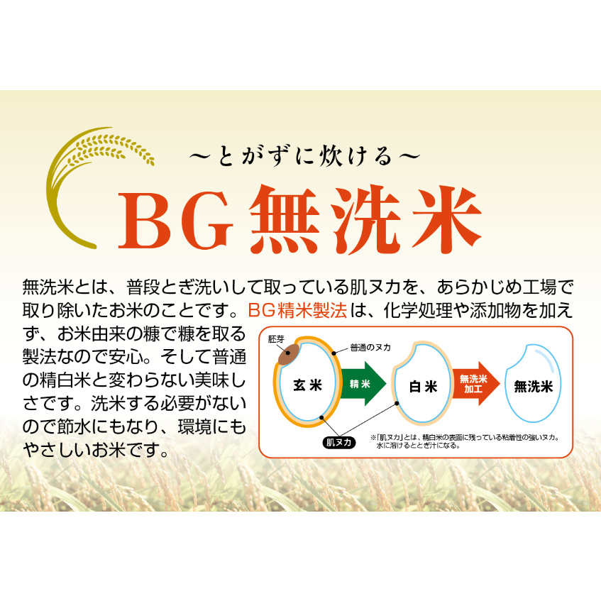 【華金SALE】山形県庄内産　令和7年新米コシヒカリ23kg 無洗米☆令和7年産☆山形県産 雪若丸（ゆきわかまる）／JA庄内みどり