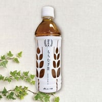 産地直送★滋賀県産 もちむぎ茶 1箱（500ml × 24本）◉送料無料◉