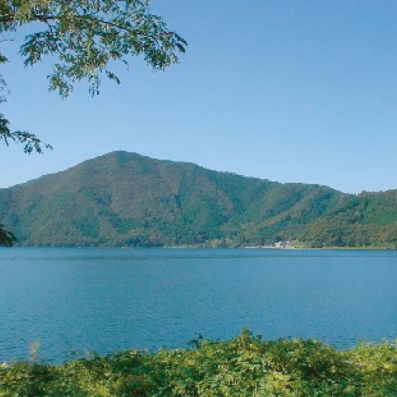 令和6年産☆特別栽培米☆滋賀県産近江米 みずかがみ/JAこうか 令和6年産☆特別栽培米☆滋賀県産近江米 みずかがみ/JAこうか