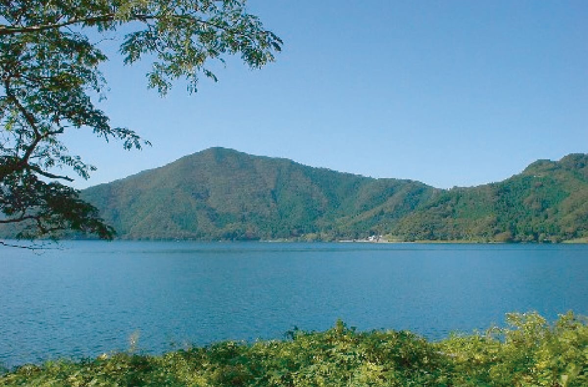 令和6年産☆特別栽培米☆滋賀県産近江米 みずかがみ/JAこうか 令和6年産☆特別栽培米☆滋賀県産近江米 みずかがみ/JAこうか