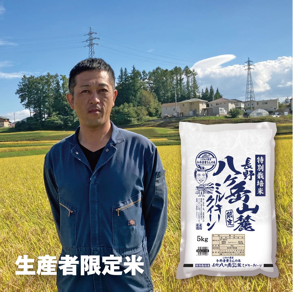令和7年産☆特別栽培米☆今井清貴さん 長野県茅野市産ミルキークイーン