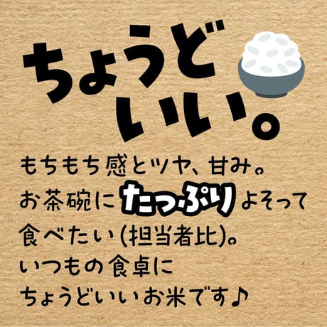 令和7年産★特別栽培米★京都丹波産こしひかり／JA京都【5kg】
