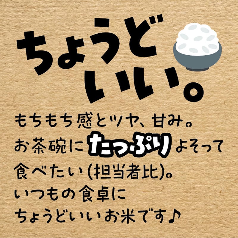 令和7年産☆特別栽培米☆京都丹波産こしひかり／JA京都【5kg】 | こめとも