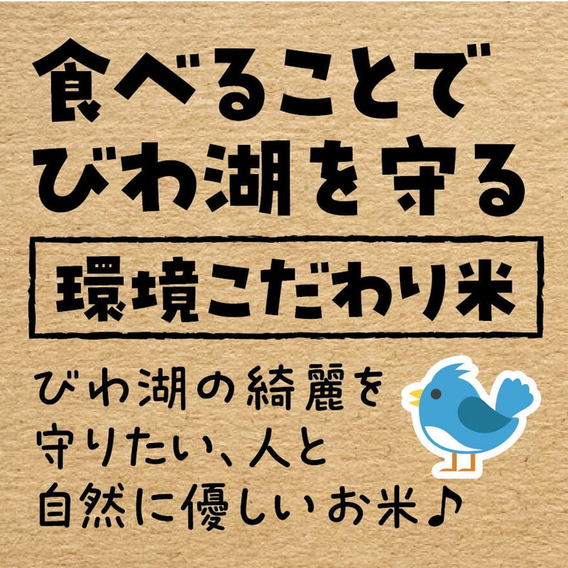 令和7年産☆特別栽培米☆滋賀市原地区限定こしひかり／JAグリーン近江