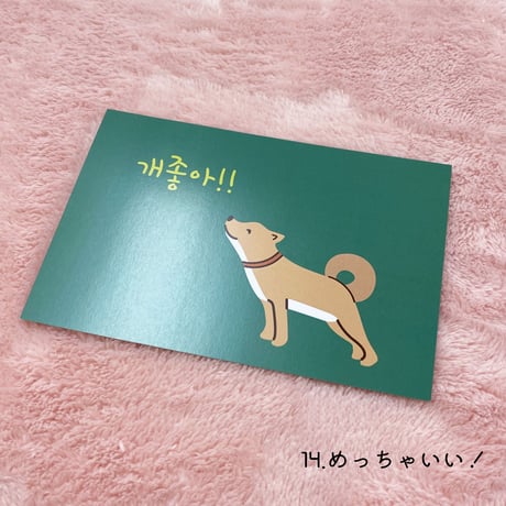 「BIGSALE」Wooristoreポストカード*10枚ランダム発送