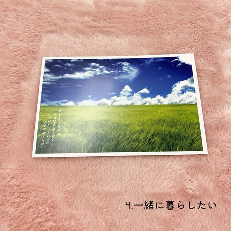 「BIGSALE」Wooristoreポストカード*10枚ランダム発送