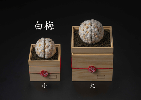 茶和花の鞠（まり）_大サイズ