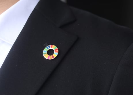 【正規品】SDGsピンバッジ