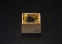 木箱「黄 檗」