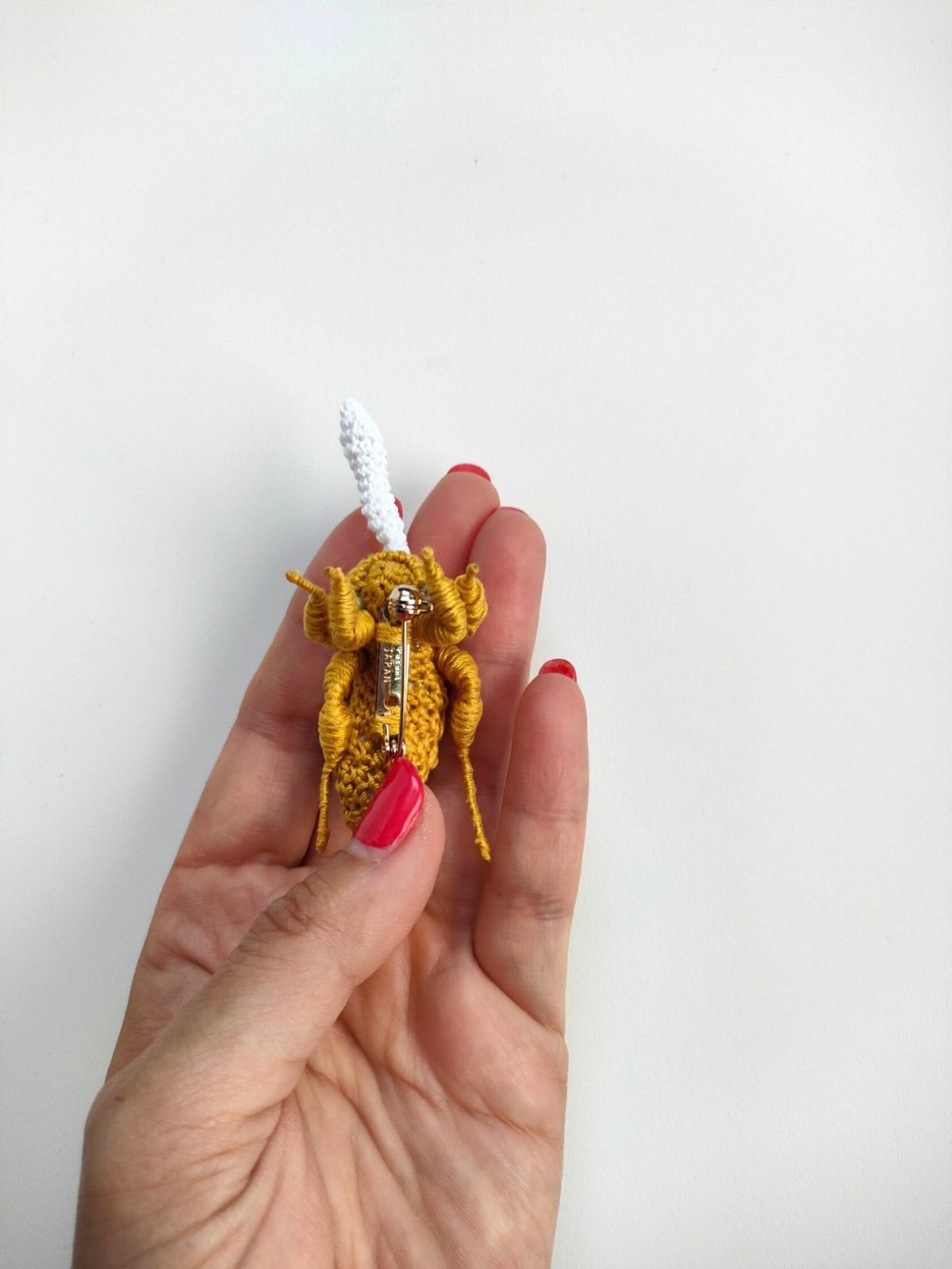 冬虫夏草セミタケ 冬虫夏草 セミタケ セミの幼虫に寄生[32056000387]の写真