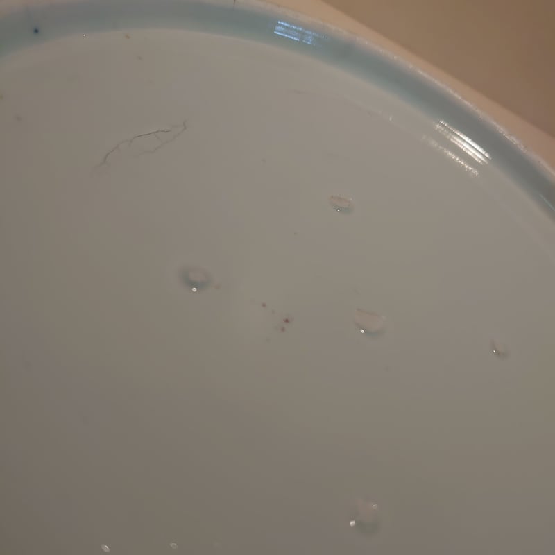 古伊万里 染付鷺紋八角皿 | SunmoonCafe