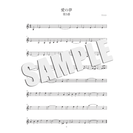 音楽の世界が広がる 音楽家あそび教材セット｜リスト