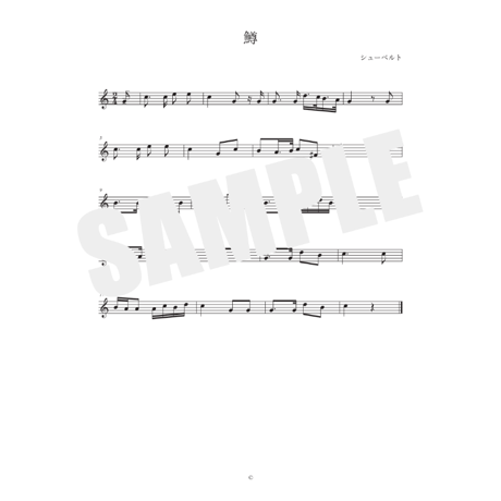 音楽の世界が広がる 音楽家あそび教材セット｜シューベルト
