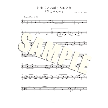 音楽の世界が広がる 音楽家あそび教材セット｜チャイコフスキー