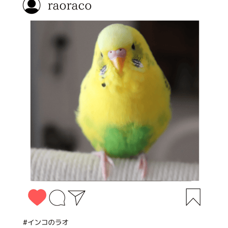 @raoraco限定ファングッズ