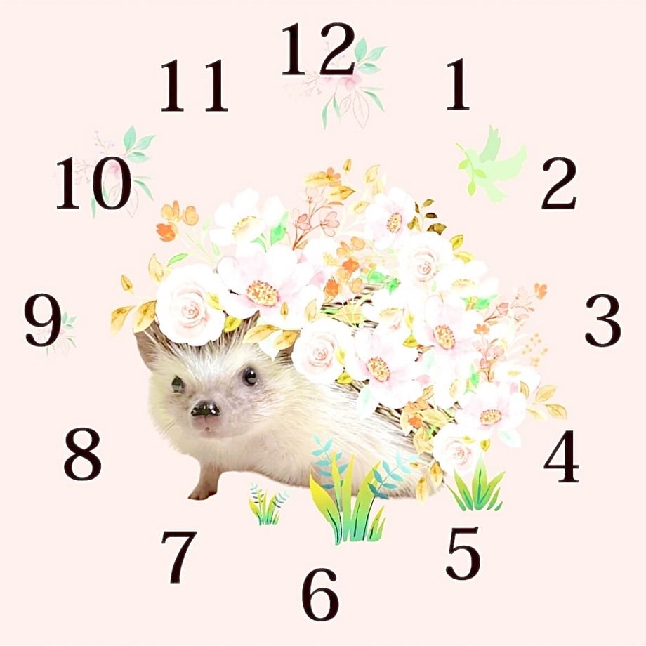 63527846bd5e4d224c39c234