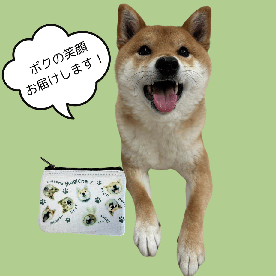 67c533bc9ecae600361d5303