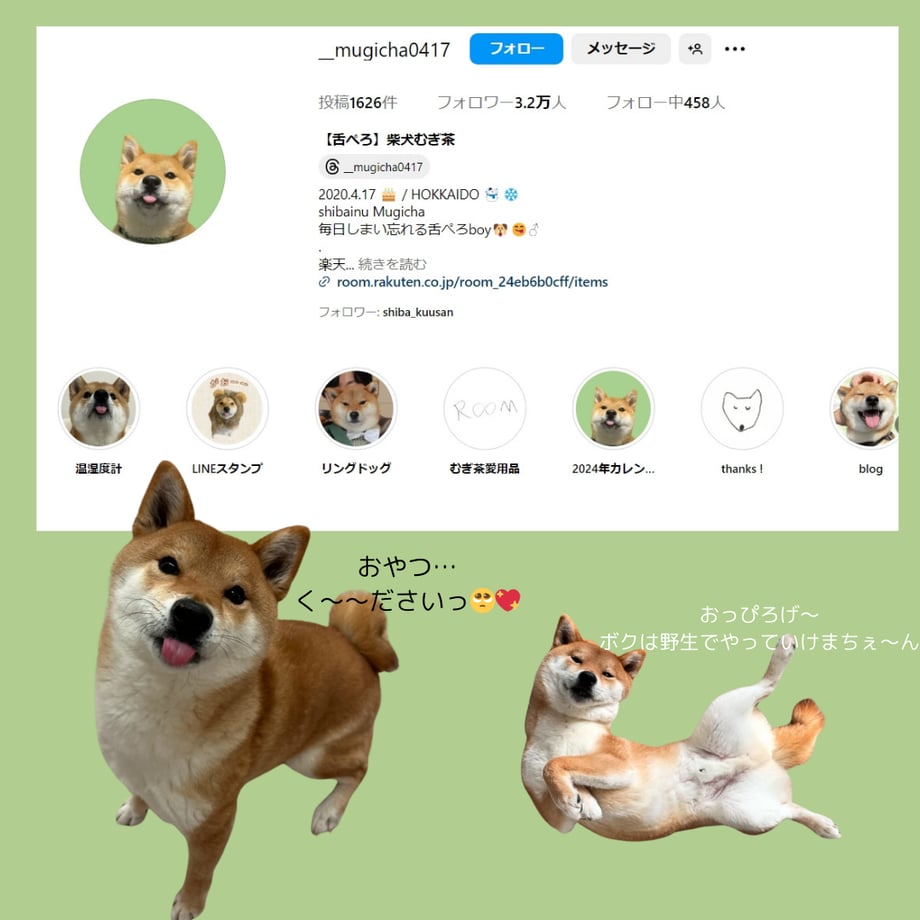 67c533bc9ecae600361d5303