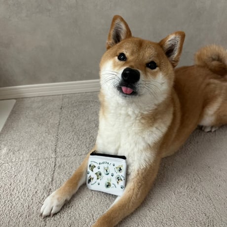 【舌ぺろ】柴犬むぎ茶 コインケース