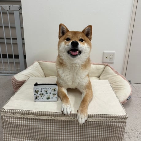 【舌ぺろ】柴犬むぎ茶 コインケース