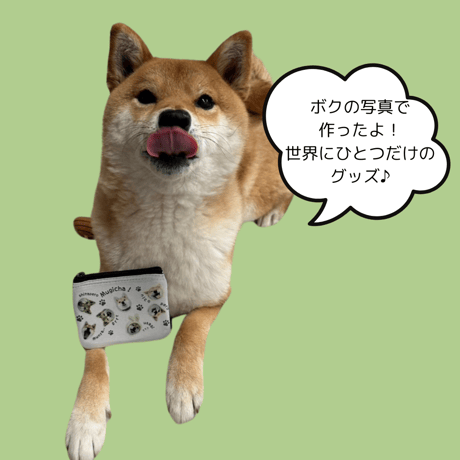 【舌ぺろ】柴犬むぎ茶 コインケース