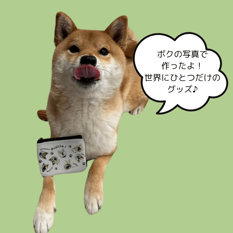 67c533bc9ecae600361d5303