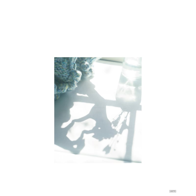 武田玲奈10周年記念写真集 SISU 特装版 | SAUNA BROS.