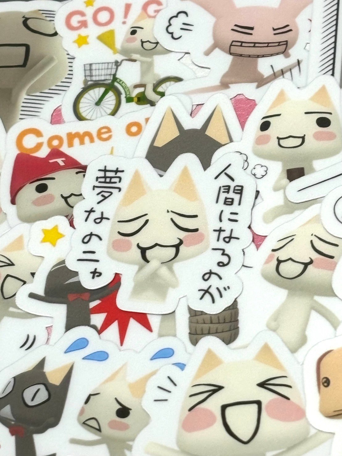 fit=scale-down,w=1200